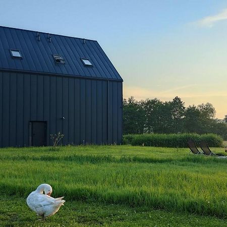 Apartamenty Boczna 3B Z Sauna I Balia Kudowa-Zdrój Exterior foto
